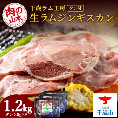ふるさと納税 千歳市 千歳ラム工房 生ラムジンギスカン 1.2kgたれ付き ラム肉 羊肉 北海道 ≪肉の山本≫