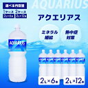 【ふるさと納税】アクエリアス PET 2L×6本(6本×1ケース) 2L×12本(6本×2ケース) スポーツドリンク スポーツ飲料 清涼飲料水 水分補給 ペットボトル 箱買い まとめ買い 014019-r