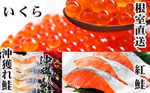 
                  E-30002 甘塩紅鮭5切×10P、甘塩沖獲れ鮭5切×10P、いくら醤油漬け100g×5P
                