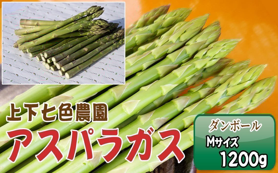 
            No.1096 上下七色農園 アスパラガス　Ｍサイズ　ダンボール（1.2kg） ／ 野菜 新鮮 柔らか ジューシー お中元 贈り物 ご進物 広島県 特産品
          