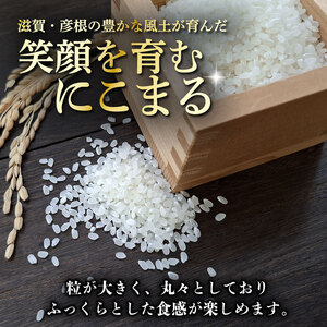 令和7年産 にこまる 白米 10kg 新米