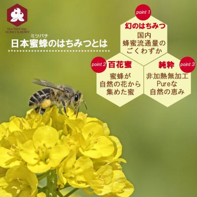 ふるさと納税 新居浜市 日本蜜蜂 100% 純粋 はちみつ 非加熱 240g×2本 国産 |  | 01