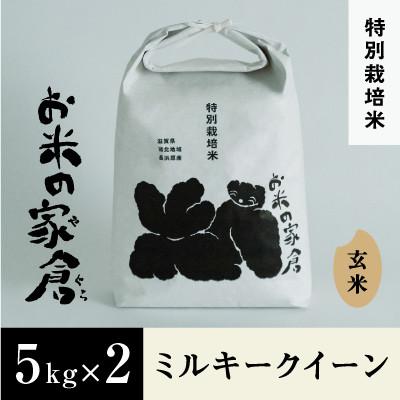 ふるさと納税 長浜市 【新米:令和7年産】滋賀県長浜市　プチプチ食感!特別栽培　ミルキークイーン　5K×2　玄米