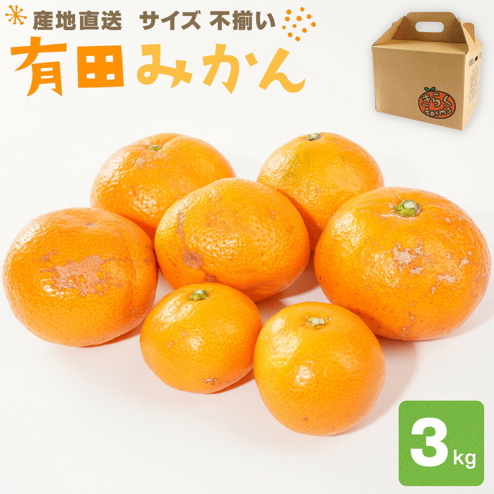 【ふるさと納税】産地直送 有田みかん サイズ 不揃い 約3kg 喜楽farms 【2025年11月以降順次発送】 | みかん 蜜柑 フルーツ 果物 くだもの 食品 人気 おすすめ 送料無料