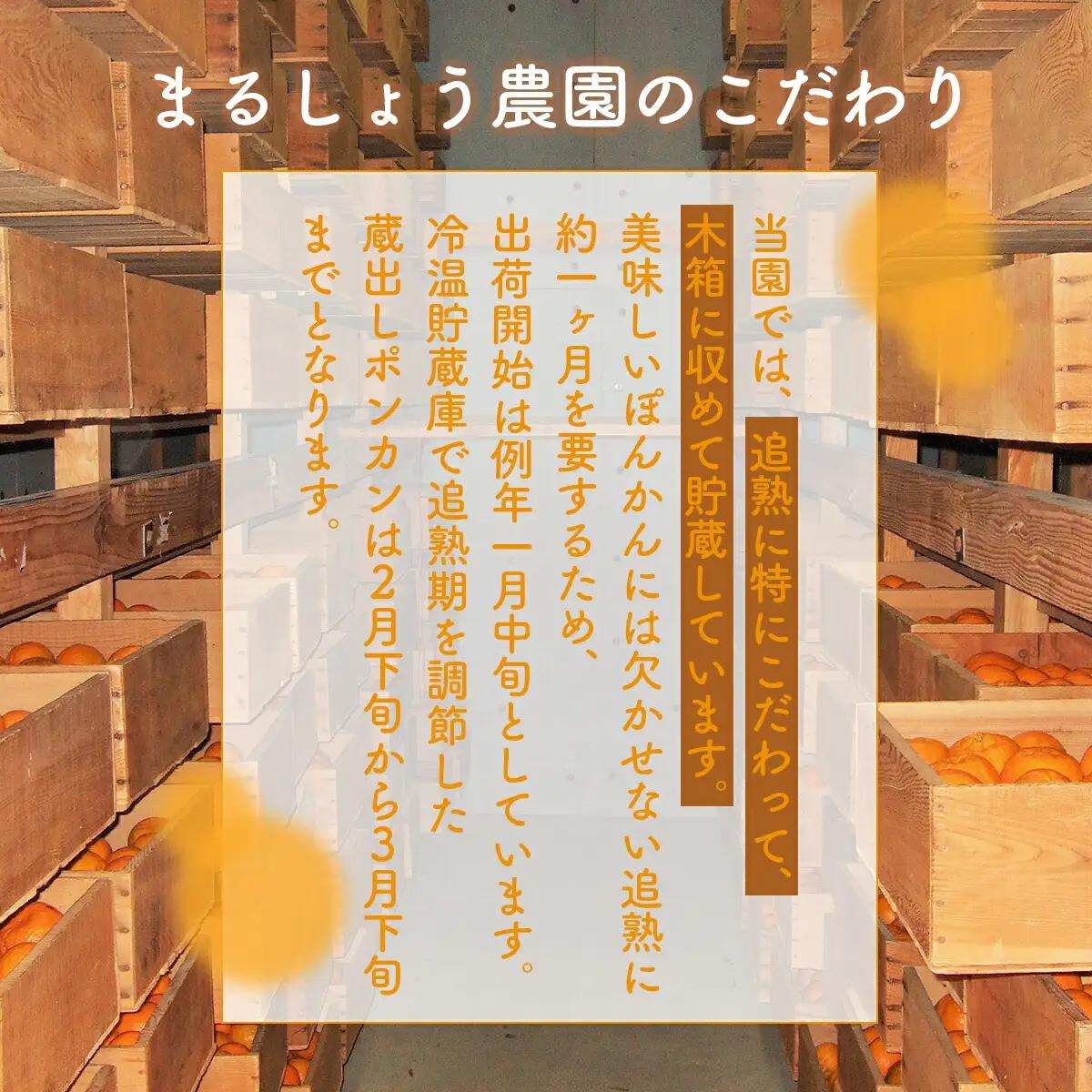 ＜先行予約＞ぽんかん【グランクリュなべしご】 5・　MS3 [MS-03] 【まるしょう農園】