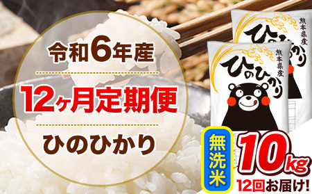 令和6年産【12ヵ月定期便】 無洗米 ひのひかり 定期便 10kg 5kg×2袋｜お米お米お米