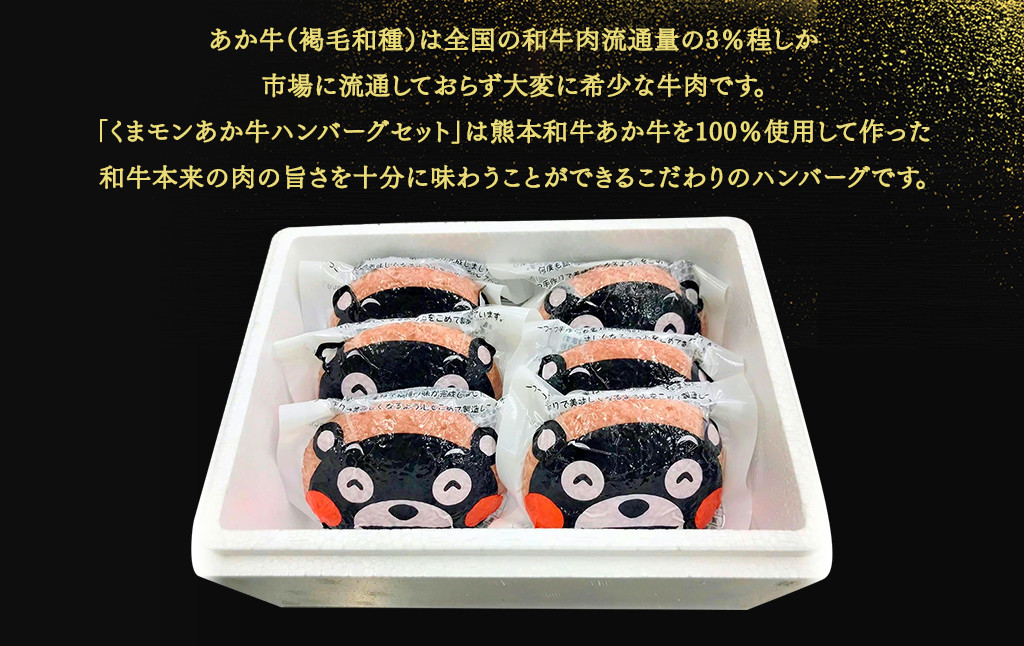 くまモンあか牛ハンバーグセット