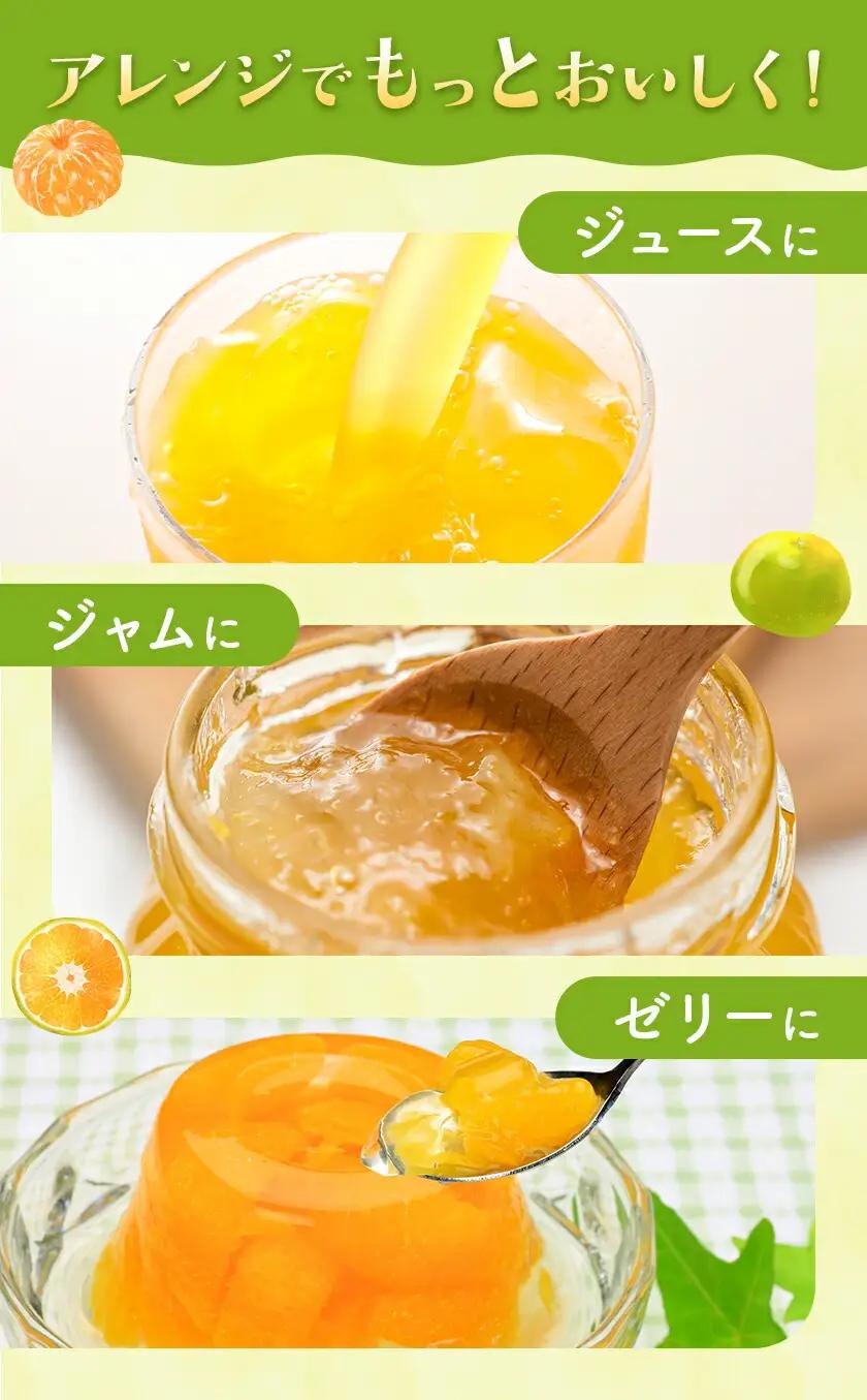 早生みかん 約5kg 農園誉 みかん