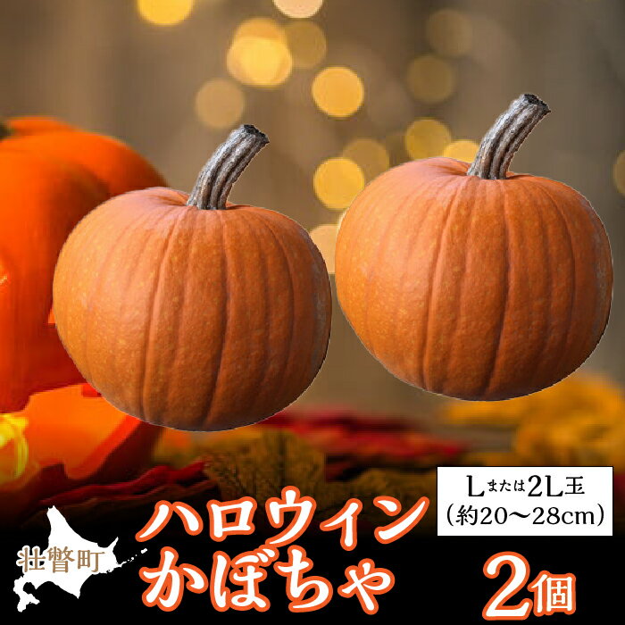 【ふるさと納税】＜2025年10月初旬よりお届け＞ハロウィンかぼちゃ Lまたは2Lサイズ玉2個 ふるさと納税 人気 おすすめ ランキング かぼちゃ カボチャ 南瓜 野菜 ハロウィーン ハロウィン かぼちゃおばけ ランタン 北海道 壮瞥町 送料無料 SBTL015