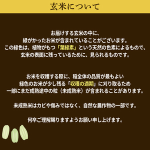 米 令和7年産 ミルキークイーン 玄米 10kg
