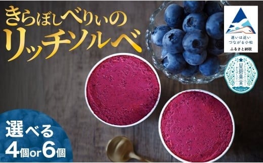 
            きらぼしべりぃのリッチソルベ選べる 4個入り / 6個入り ジェラート ブルーベリー アイスクリーム
          