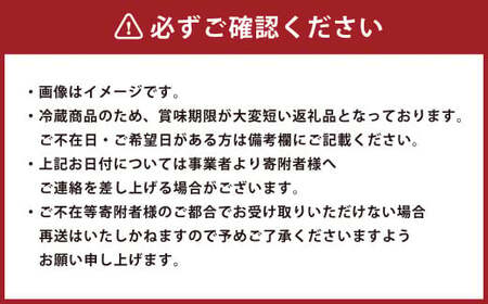 【歳末感謝祭】松阪牛 サーロイン ローストビーフ 約500g【たわら屋】｜  お肉 牛 牛肉 和牛 国産牛 ブランド牛 惣菜 贈答 ギフト 静岡 静岡県 菊川市