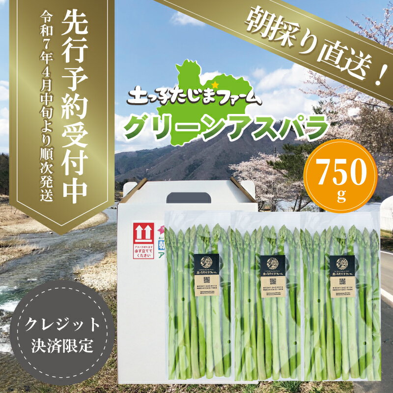 【ふるさと納税】【先行予約】農家直送！南会津町産朝採り春アスパラ（グリーン）750g(250g入×3袋入) 野菜 春野菜 朝採り野菜 柔らかい みずみずしい グリーンアスパラ 　お届け：2026年5月10日まで
