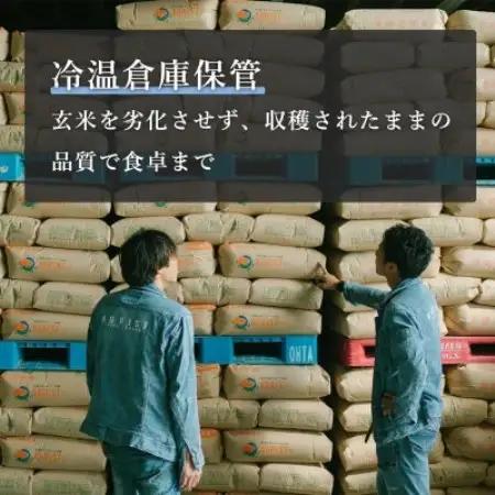 令和8年新米　京都与謝野町産エナジーこしひかり精米5kg×6袋　農家直送【1780909】