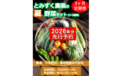 【2026年先行予約・3ヶ月連続定期便】とみずく農園の夏野菜セット (北海道・沖縄県・離島は配送不可) 無農薬 高原野菜 旬 新鮮 詰合せ 【 産地直送 産直 季節の野菜 旬の野菜 有機野菜 有機栽培 農薬 化学肥料 不使用 長野県 佐久市 旬彩】