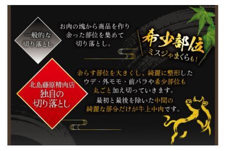 【ヘルシータイプ】 牛肉 切り落とし 赤身 国産 阿波黒牛 牛上中肉 500g [北島藤原精肉店 徳島県 北島町 29al0016] 国産牛 冷凍 和牛 スライス 小間切れ