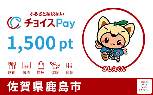 
            鹿島市チョイスPay 1,500pt【会員限定のお礼の品】
          