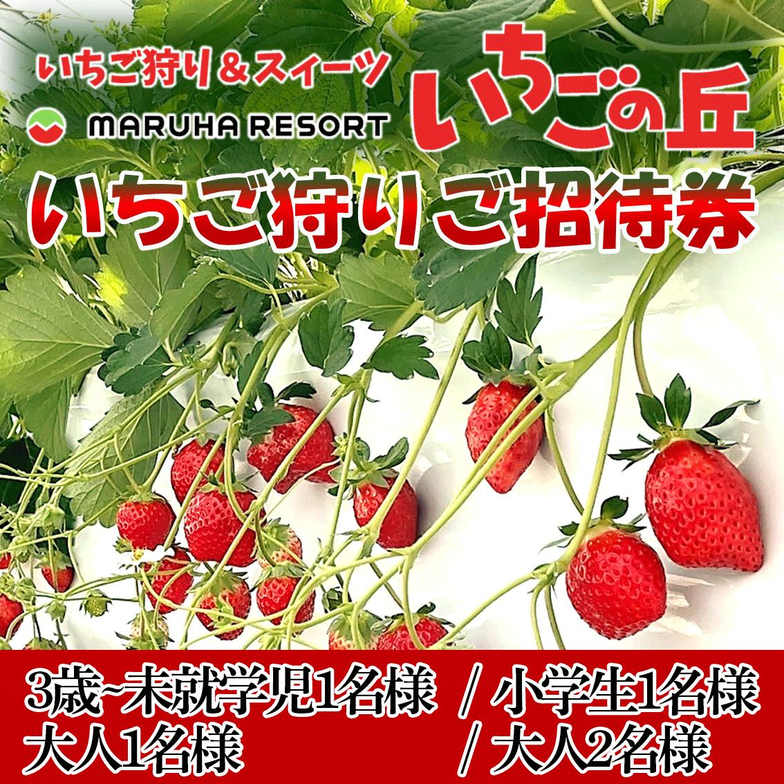 
            まるは食堂 マルハリゾート いちごの丘『いちご狩り』チケット いちご いちご狩り 章姫 かおり野 甘い 完熟 新鮮 穫れたて 香り豊か 自然 カフェ パフェ スイーツ ケーキ いちごがり 招待券 おすすめ ふるさと納税 愛知 南知多 愛知県南知多町 知多半島
          