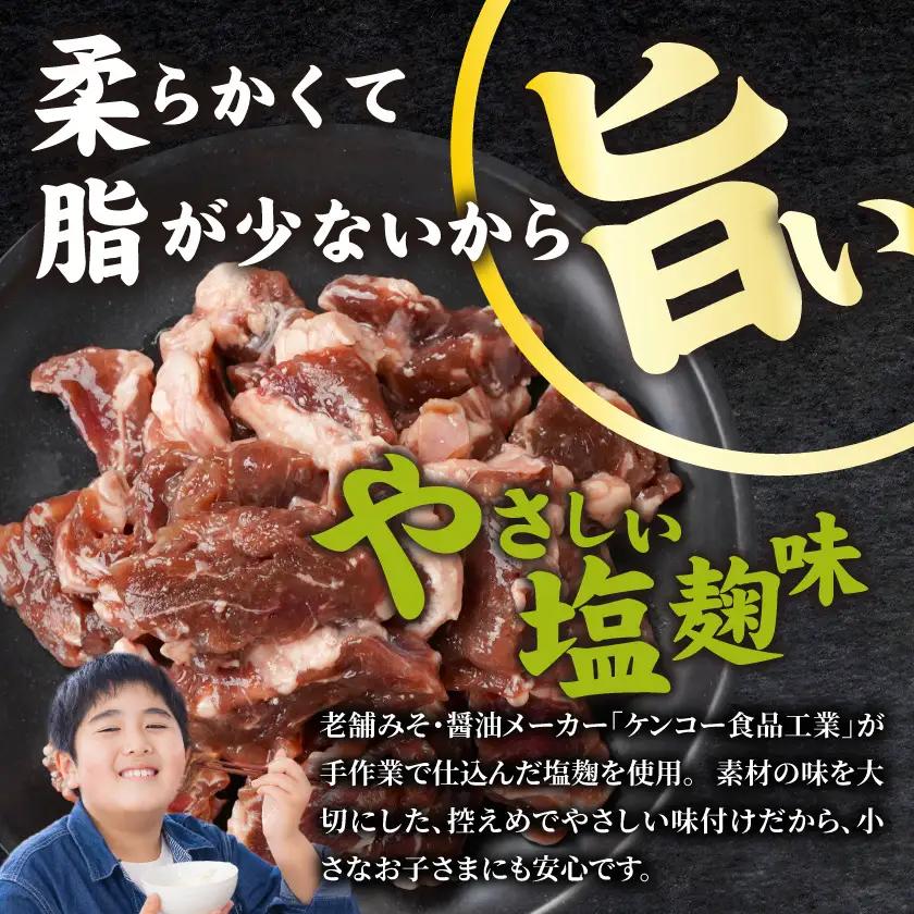 牛ヒレ塩麹タレ漬け900g(焼肉用カット)≪みやこんじょ特急便≫〔LG-3330-Q〕_(都城市) 