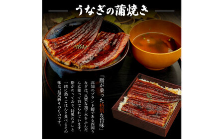 《超特上》うなぎの蒲焼き・白焼き2尾セット（約440g） オリジナルタレ・山椒付き 
