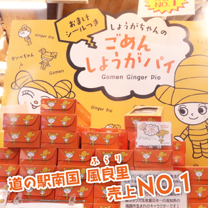ごめんしょうがパイ10個×4 しょうがしょうがしょうが