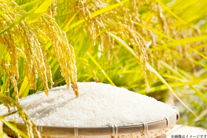 米 令和7年 北海道産 ゆめぴりか 2kg 2袋 計 4kg ホクレンパールライス [ホクレン商事 北海道 砂川市 12260942] 令和7年産 小分け 精米 白米 お米 こめ コメ ご飯 2キロ 