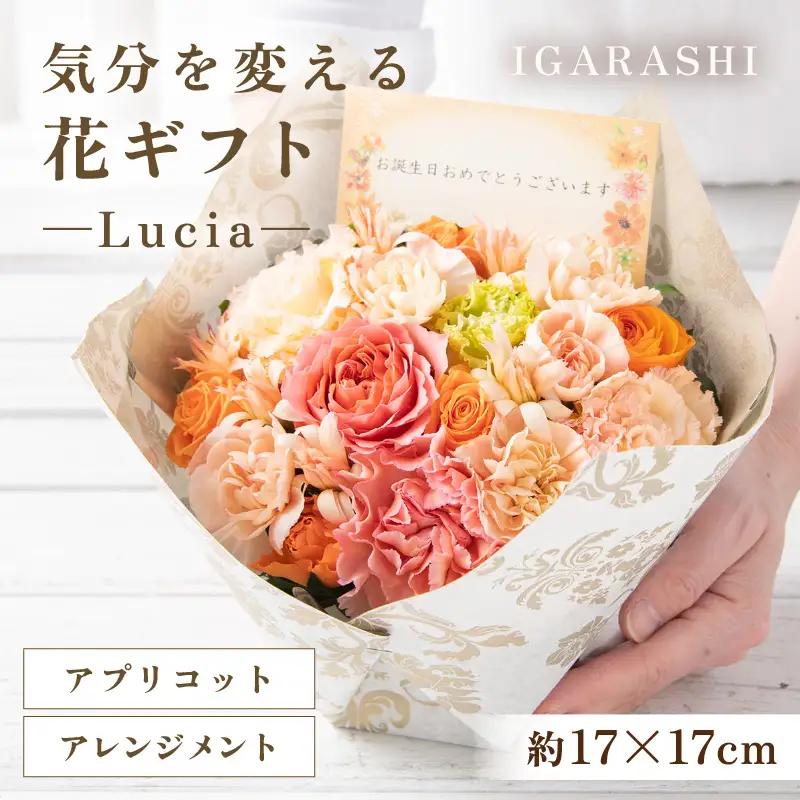 気分を変える花ギフト -Lucia- (アレンジメント・アプリコット)／ 誕生日 母の日 父の日 クリスマス 結婚祝い 結婚記念日 サプライズ お祝い アレンジメント 花束 プレゼント 贈り物 フラワーアレンジメント フラワーギフト 生花 お花 花屋 [aw062-a002_05]