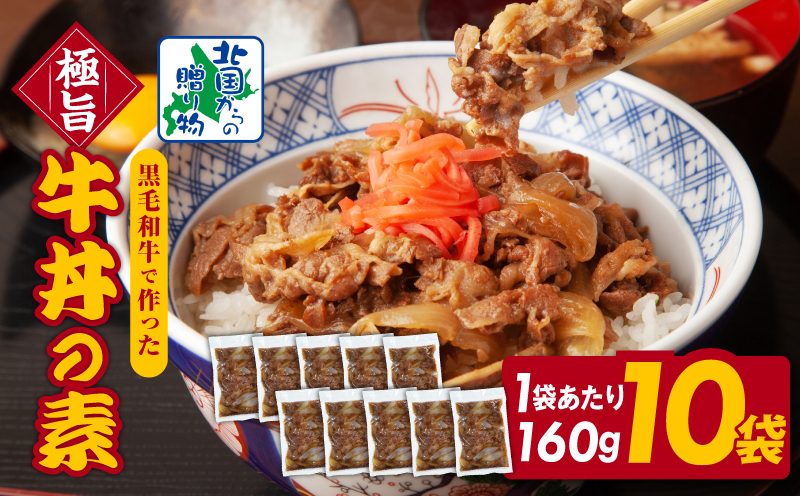 
            【黒毛和牛】極旨 牛丼の素 160g×10袋【小分け 時短 簡単便利 レンチン 夜食 つまみにもオススメ 北国からの贈り物】
          