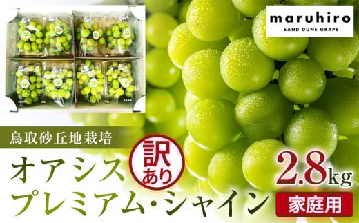 
            914.シャインマスカット 訳あり 家庭用 鳥取砂丘地産 2.8kg（350g×8パック） ※離島への配送不可 ※2025年8月下旬頃～10月下旬頃に順次発送 ｜ シャインマスカット マスカット オアシスプレミアムシャイン 葡萄 ブドウ ぶどう 産地直送 フルーツ 果物 甘い 鳥取県 北栄町 おすすめ 人気
          