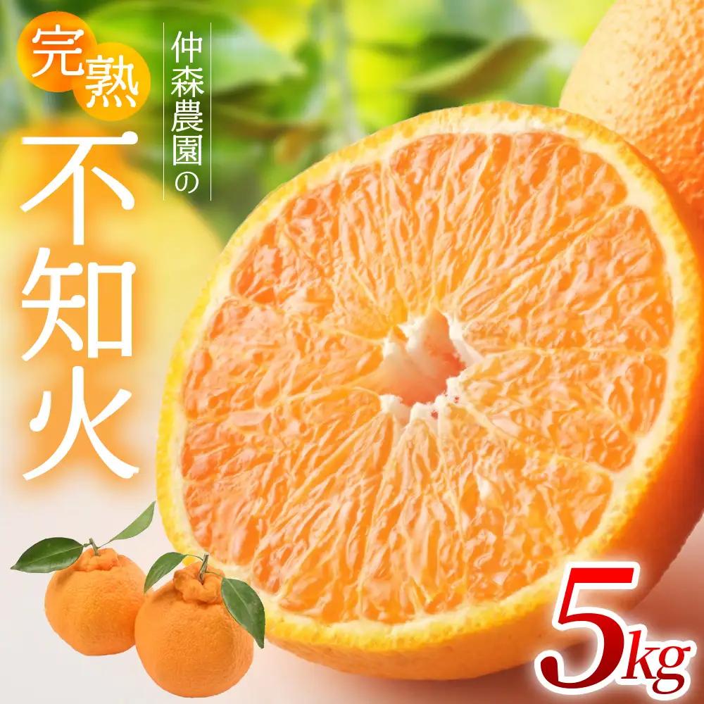 不知火 仲森農園の完熟不知火 5kg【nkmr0003】