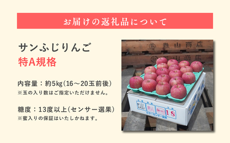 《11月発送》 サンふじりんご 「 特A 」規格 約5kg(14～20玉程度)【糖度13度以上 森山商店 平川市産 青森りんご 年内発送 11月 林檎 リンゴ りんご サンふじ ふじ 特A規格 光セン