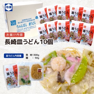 【D1-001】長崎伝統の味　ひふみの長崎皿うどん10個セット