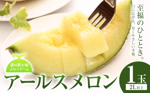アールスメロン 1玉 2L以上【メロンドーム】 メロン 果物 フルーツ マスクメロン 九州産 熊本県産 送料無料 熊本地震復興支援《7月中旬-11月上旬頃出荷》