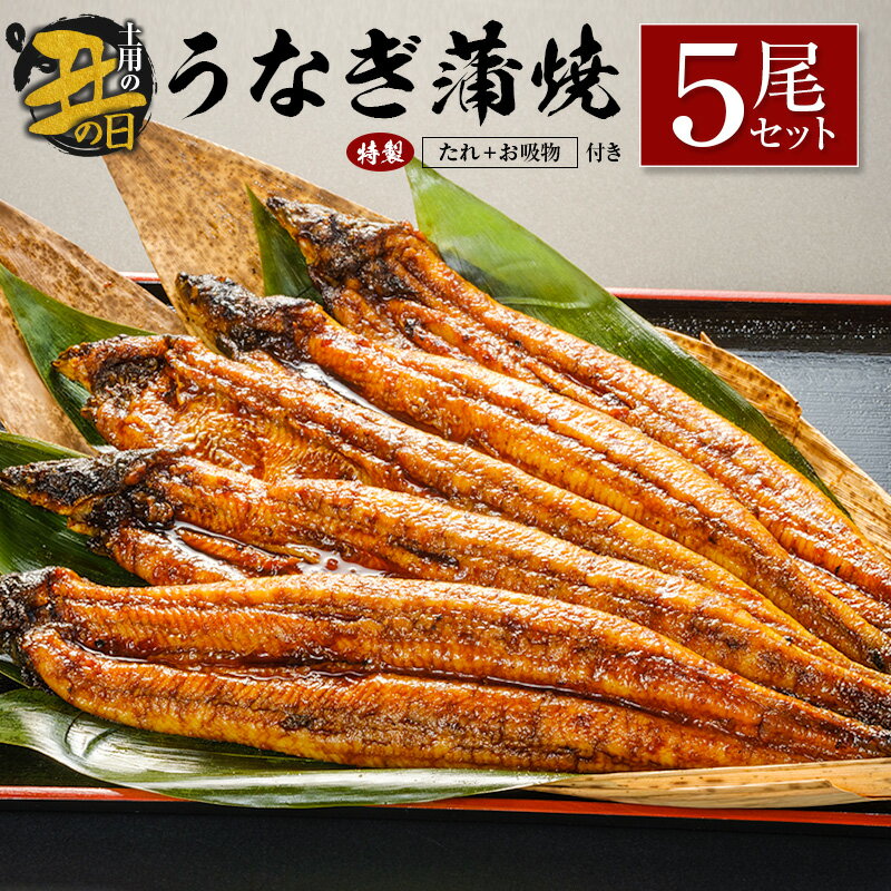 【ふるさと納税】【土用の丑の日】うなぎ蒲焼5尾セット 計905g以上 中村商店