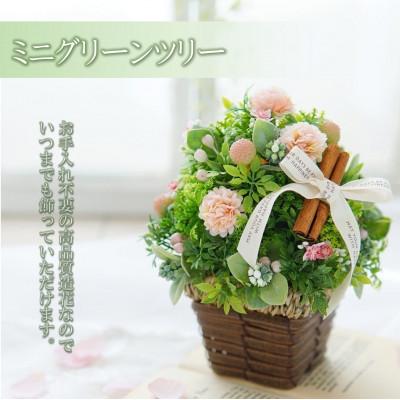 ふるさと納税 高畠町 まるで生花のようなミニグリーンツリー