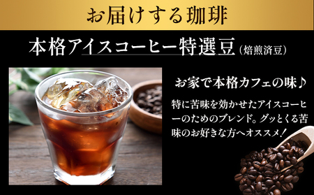 本格アイスコーヒー特選豆 500g 豆 ドリップバッグ 1袋 