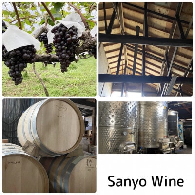 三養醸造 makioka2024 750ml×1本【配送不可地域：離島】