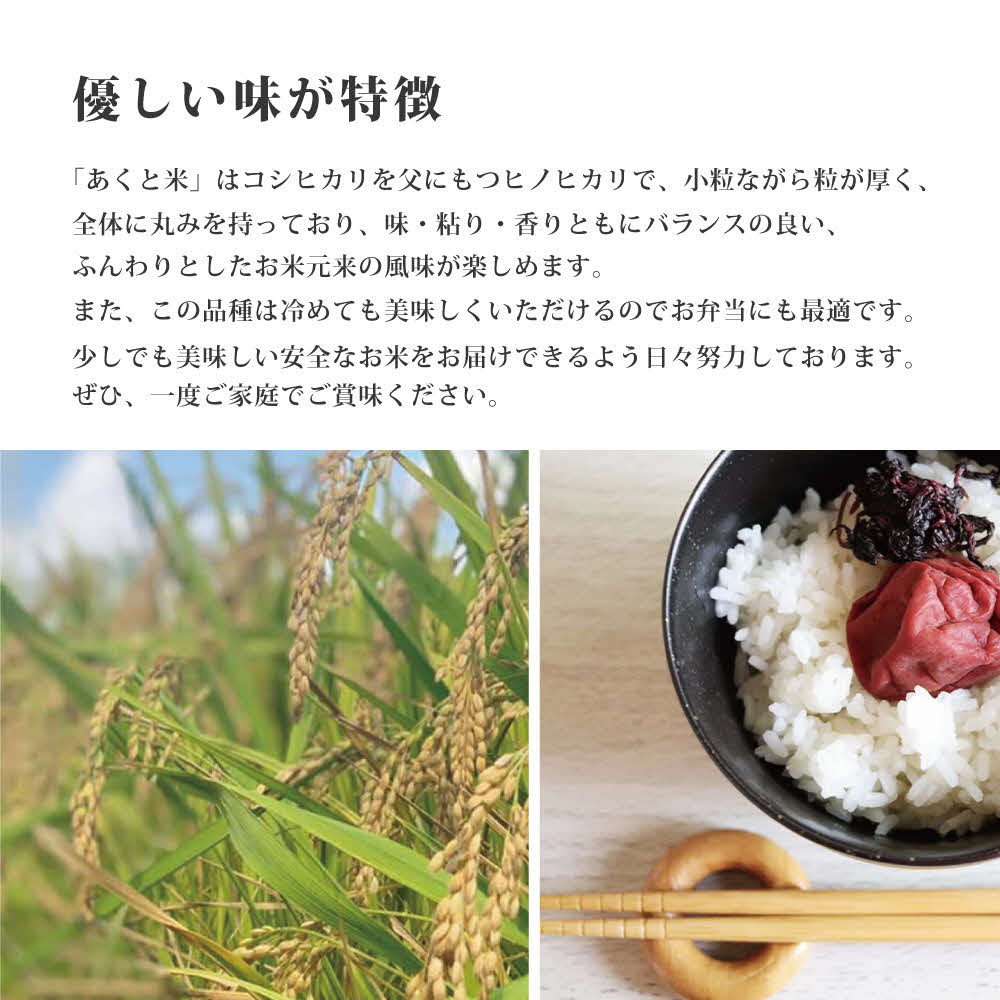 定期便 お米 令和7年産 アクト米 ヒノヒカリ 白米 10kg 3ヶ月連続お届け 