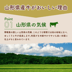 【3ヶ月定期便】毎月お届け!湯せんで温めるだけ! 山形県産 牛肉ハンバーグ 1.32kg (110g×12個入り)×3回