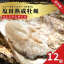 【ふるさと納税】生食可 塩田熟成牡蠣 クレールオイスター プレミアムサイズ 12個(11~5月発送) 牡蠣 濃厚 熟成 養殖広島 大崎上島 瀬戸内 せとうち 離島 国産 かき カキ ギフト 送料無料 産地直送 ファームスズキ