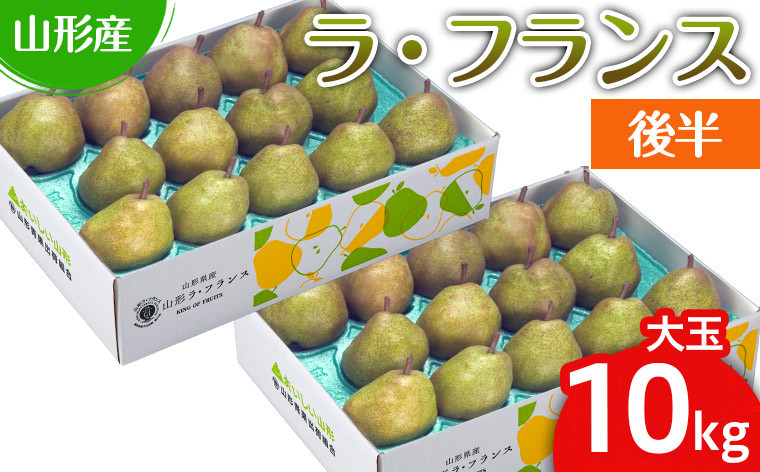
            山形のラ・フランス大玉 10kg(20～28玉) 後半 FY25-112
          