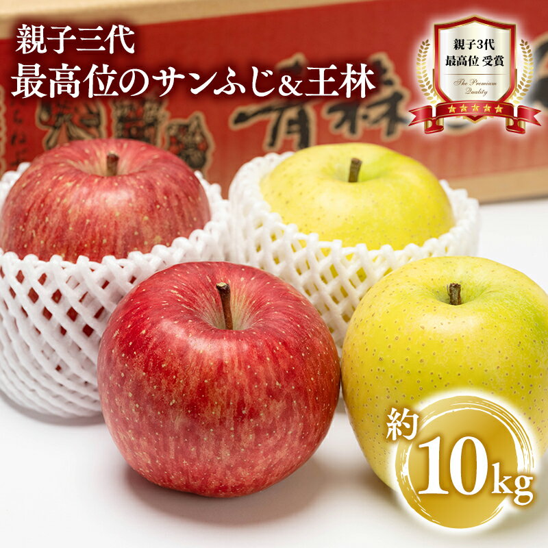 【ふるさと納税】12月発送! 親子三代最高位の贈答用サンふじ・王林 約10kg 【青森県 平川市 釈迦のりんご園】ふじ サンふじ 王林 全国ふじコンテスト最高賞受賞 青森りんご 平川市広船産 贈答 リンゴ りんご リンゴ 林檎 フルーツ 果物 平川市 青森 レビューキャンペーン