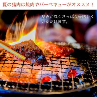 【期間限定】丹波亀岡 天然しし肉 セット 500g×2パック 計1kg《ロース もも 焼肉 BBQ バーベキュー ぼたん鍋 すき焼き 豬 猪肉 ジビエ》