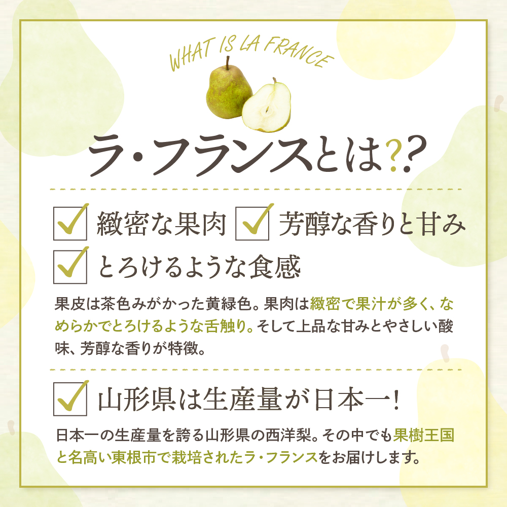 【2026年産】 西洋梨 ラフランス 5kg 秀品 化粧箱入り 山形県 東根市 東根農産センター提供 hi027-196-r8_イメージ2