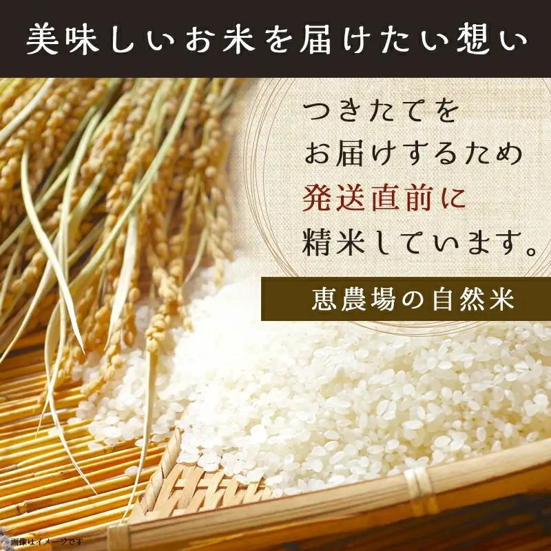 【3ヶ月定期便】都城市高崎町産ひのひかり「自然米」15kg〔T129-3-6801〕_(都城市) 5kg×3袋 高崎町 ヒノヒカリ 白米 お米15kg 産地直送 精米 定期便 3ヶ月届く