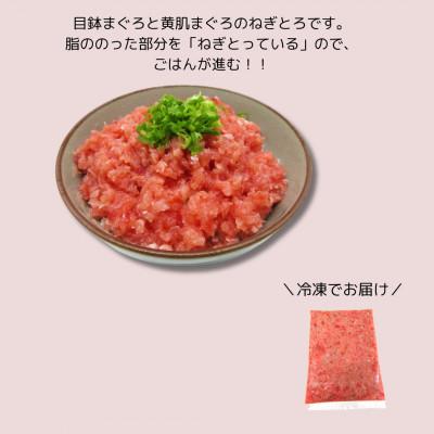 ふるさと納税 三浦市 神奈川県漁連　天然マグロ　ネギトロ(500g) |  | 01