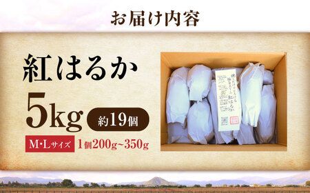【厳選】紅はるか 5kg 滋賀県長浜市/好作豊吉[AQCF015]