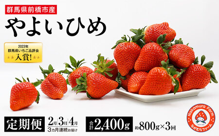 【先行予約 2026年産】定期便 3ヶ月連続 いちご やよいひめ 約800g×3回 計2.4Kg 2025年群馬県いちご品評会入賞
