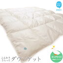 【ふるさと納税】羽毛肌布団 ダウンケット キングサイズ（S-05） ホワイトダウン85％ 抗菌・防臭