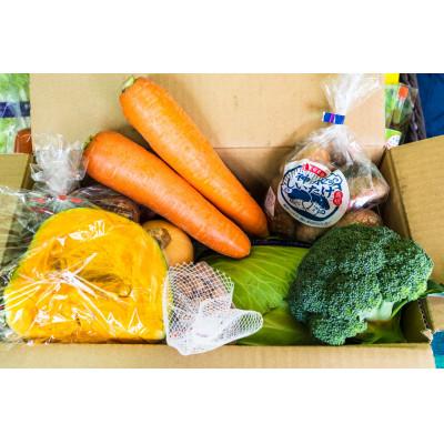 ふるさと納税 松江市 【発送月固定定期便】島採れ野菜全4回